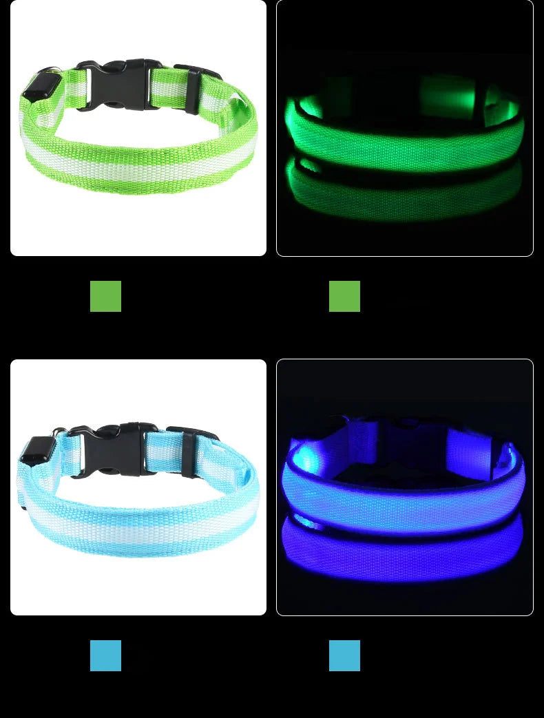 LED Pet Collar