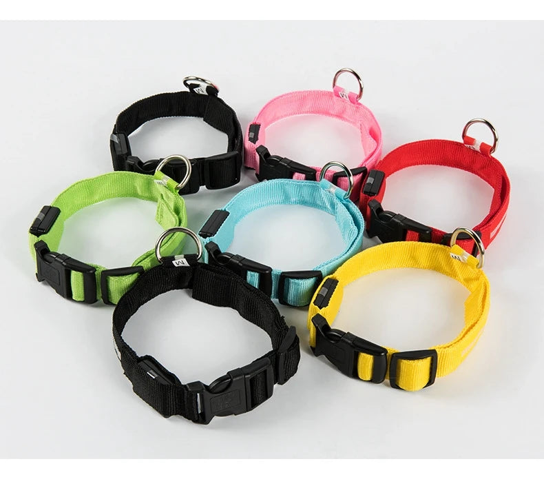 LED Pet Collar