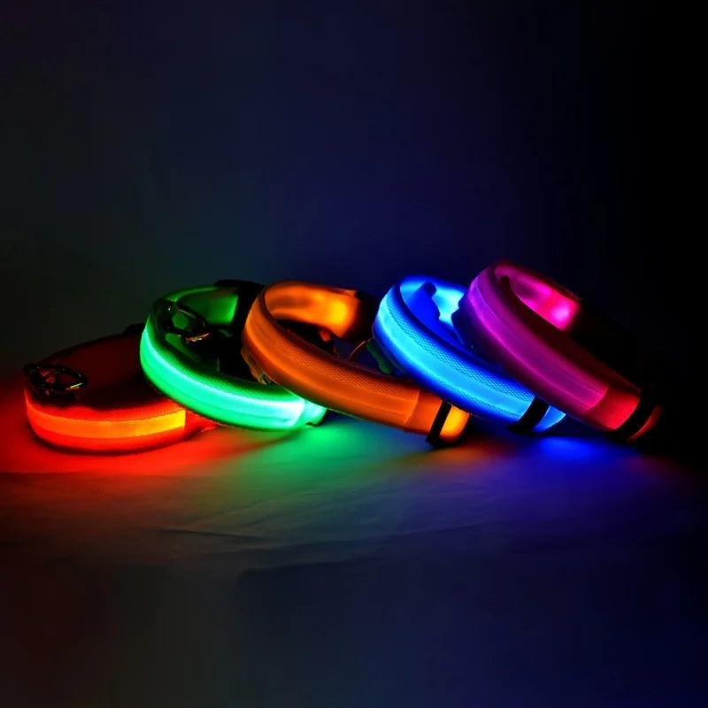 LED Pet Collar