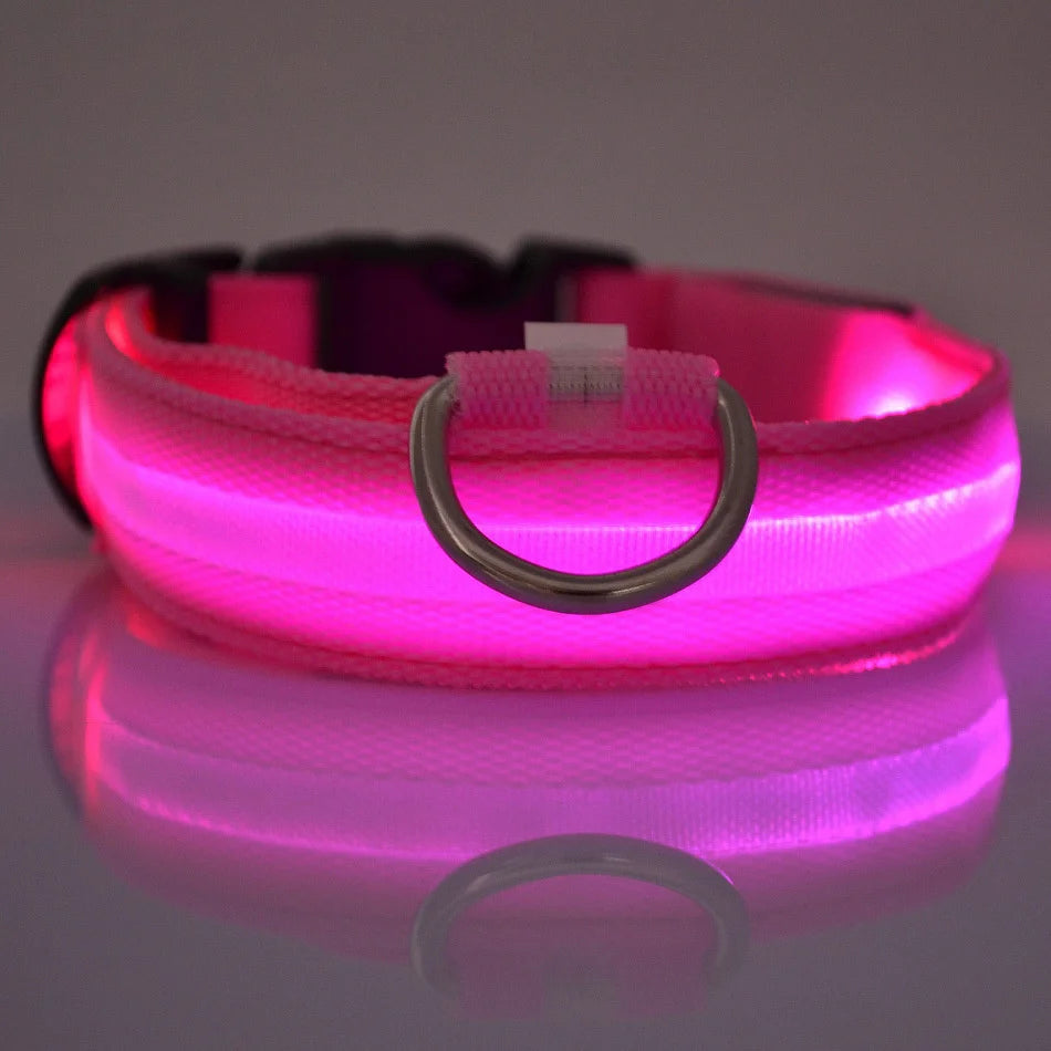 LED Pet Collar