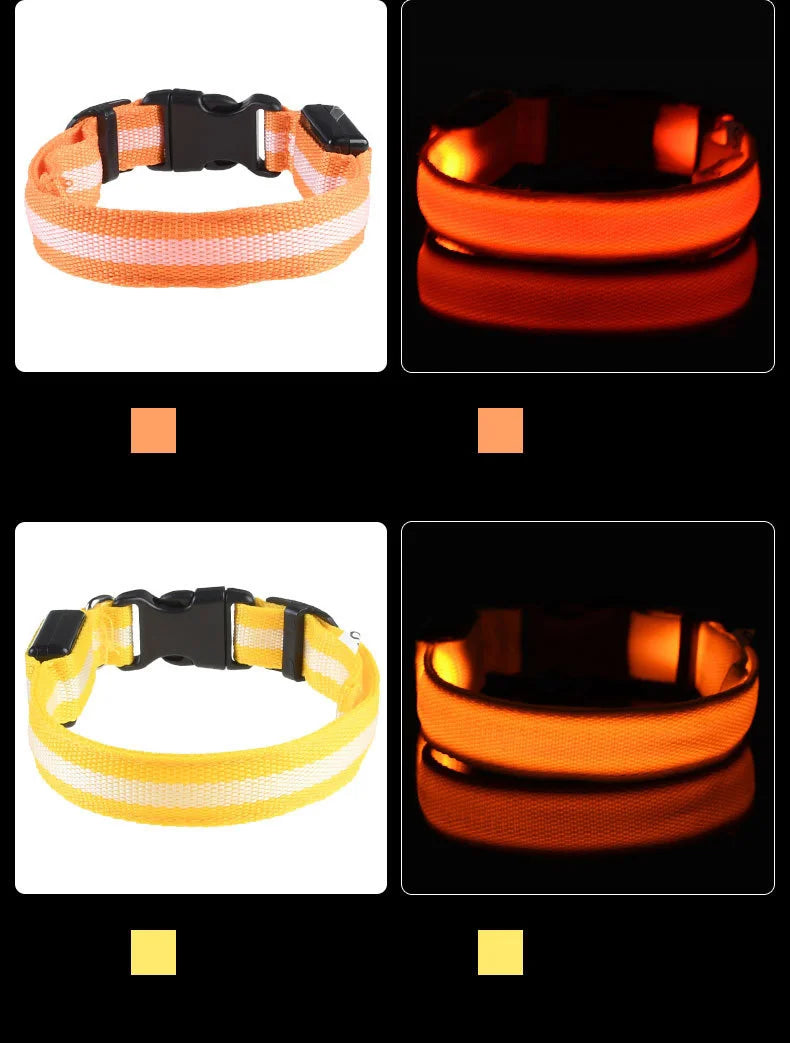 LED Pet Collar