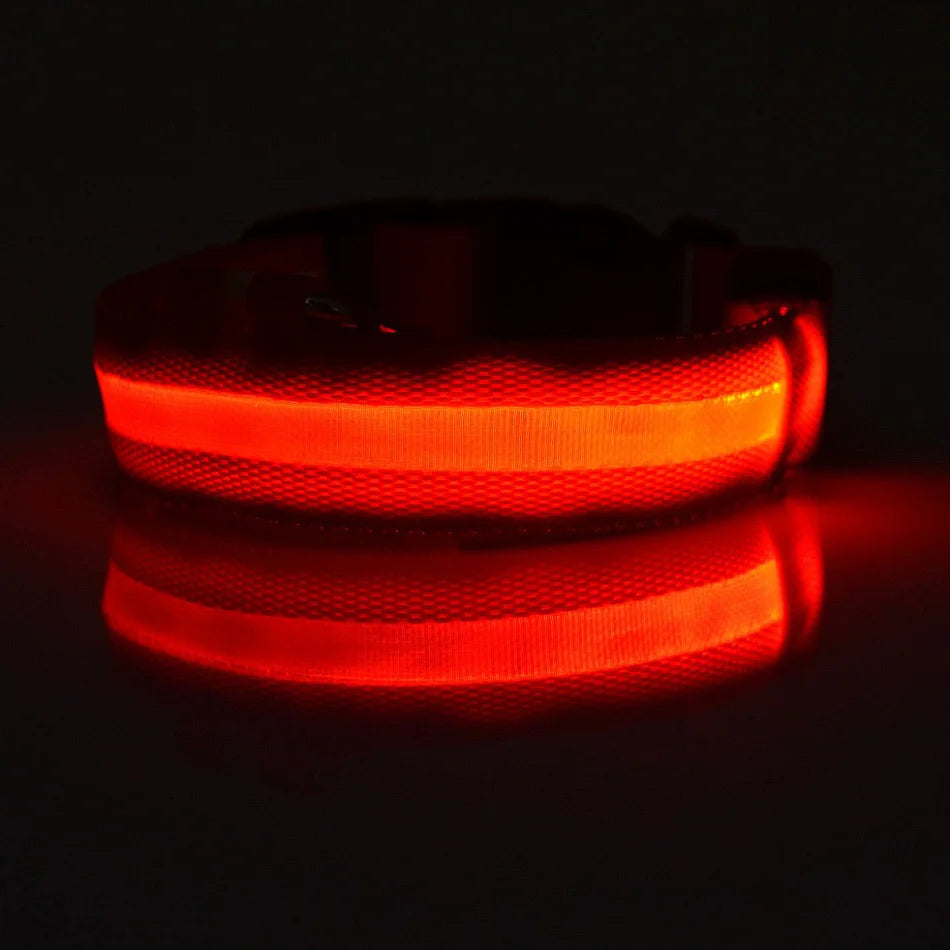 LED Pet Collar