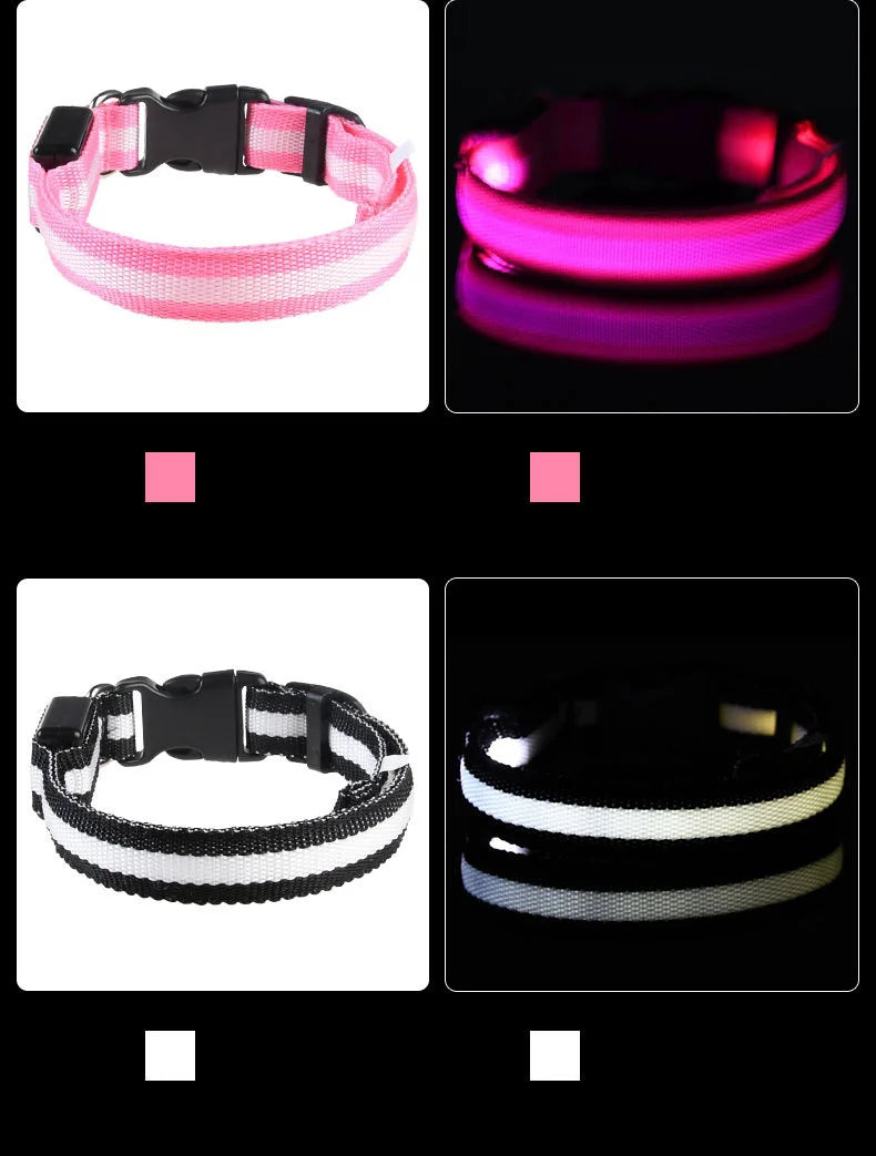 LED Pet Collar