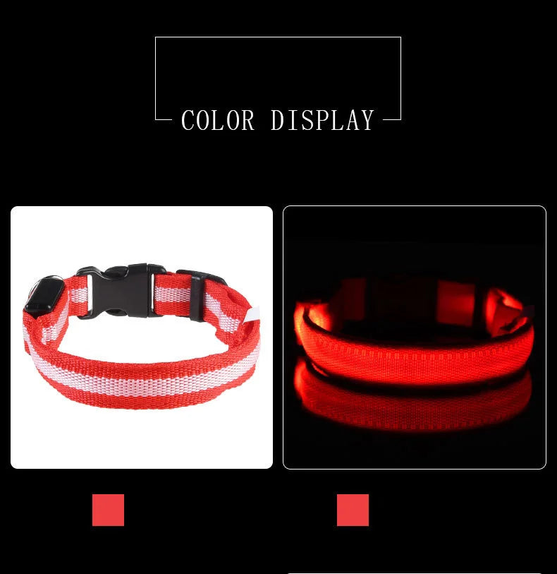 LED Pet Collar